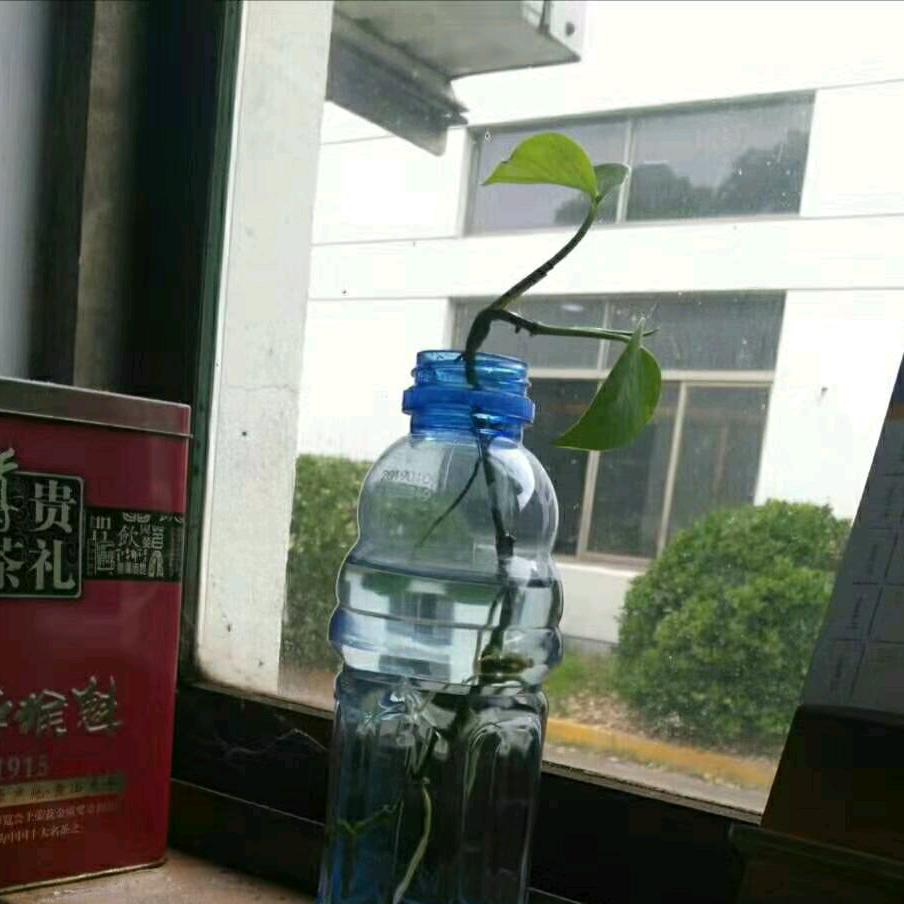 胡申明