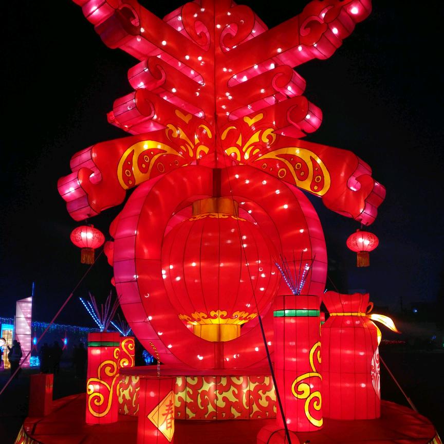 月青芝兰