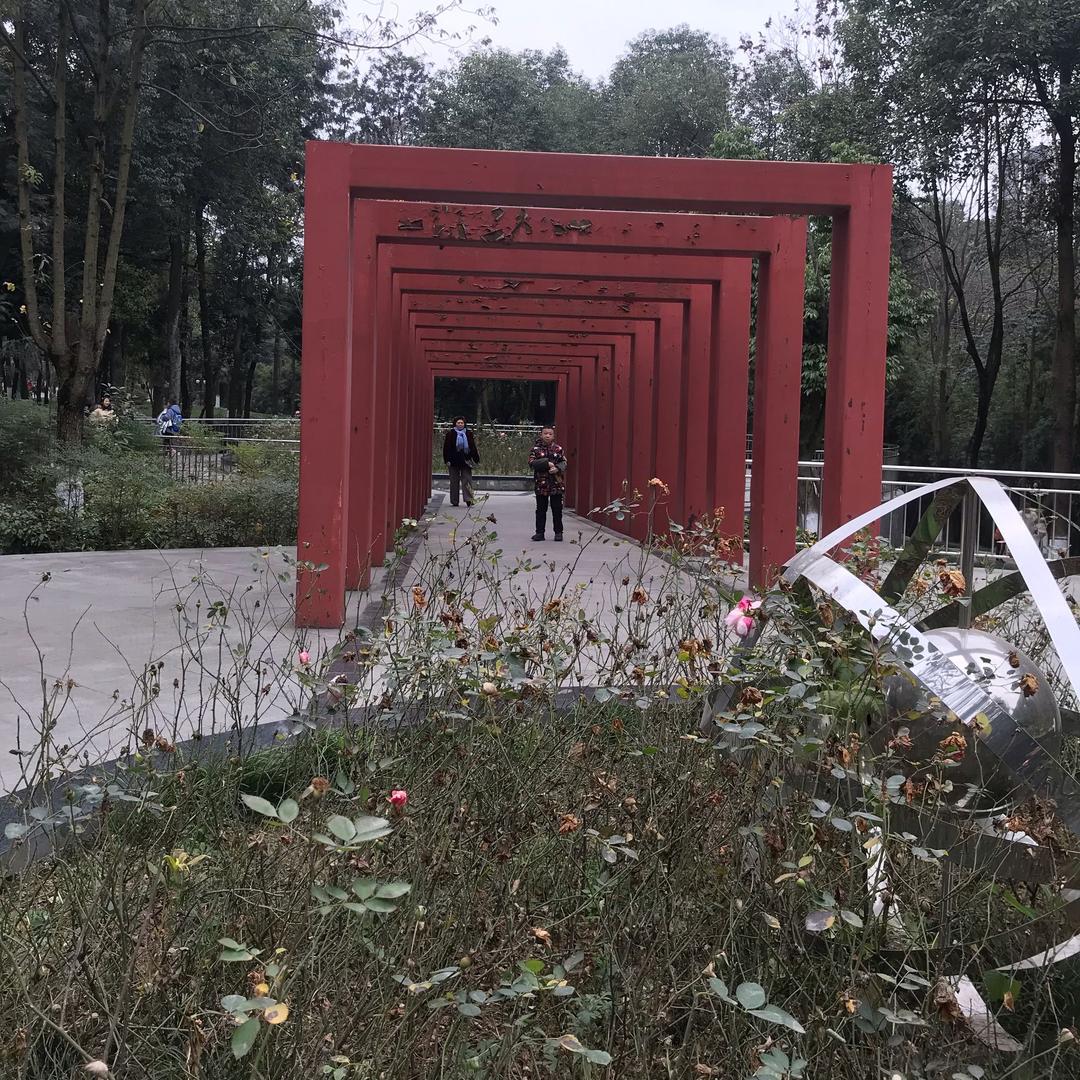 阳阳妈妈