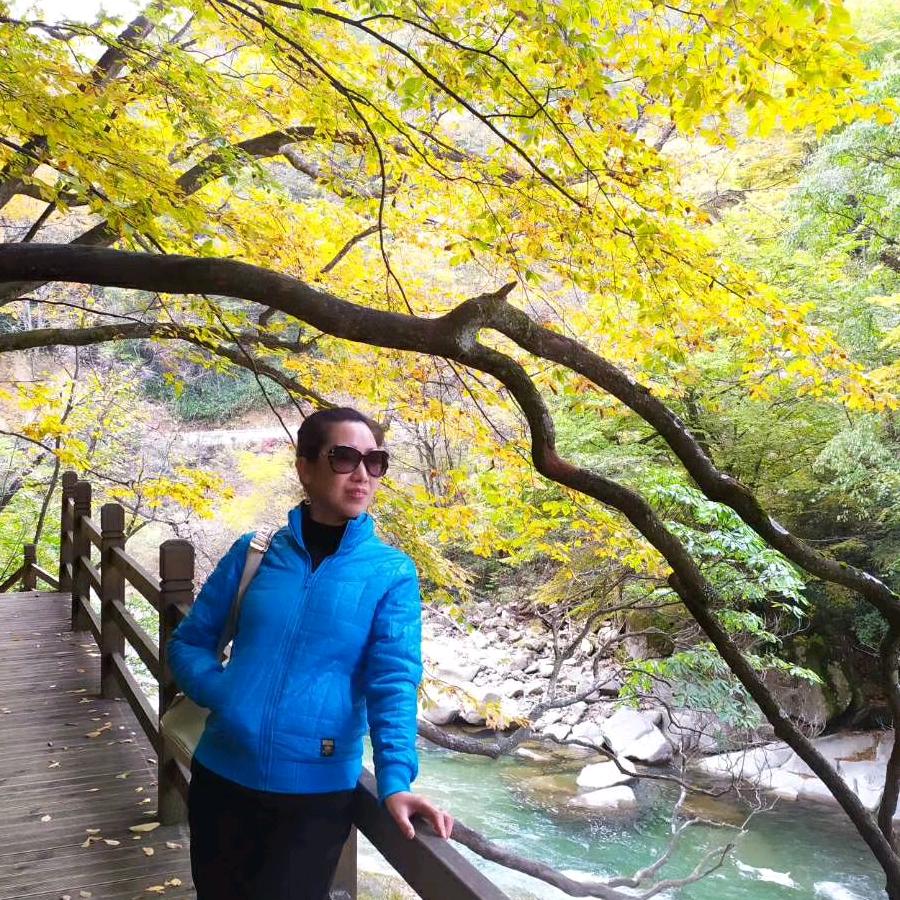 微风轻轻的飘过