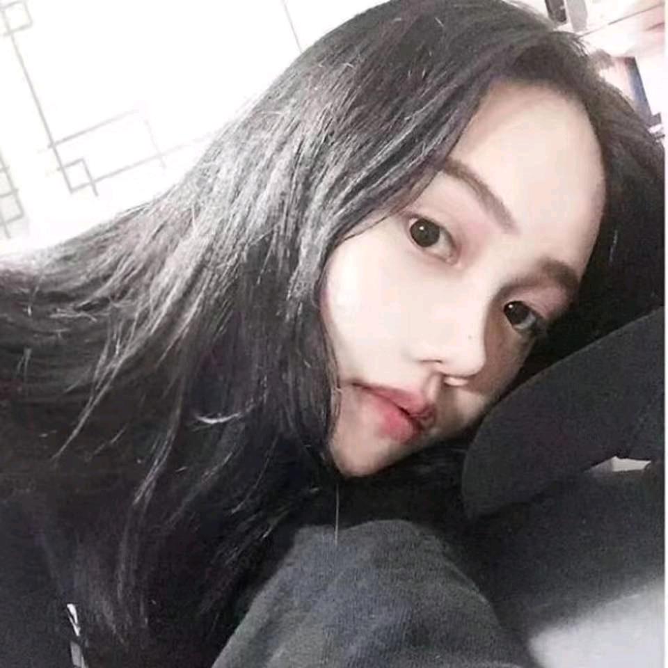 十二🐳