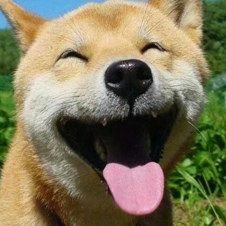 阿拉宝宝