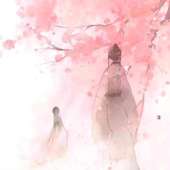 等风来