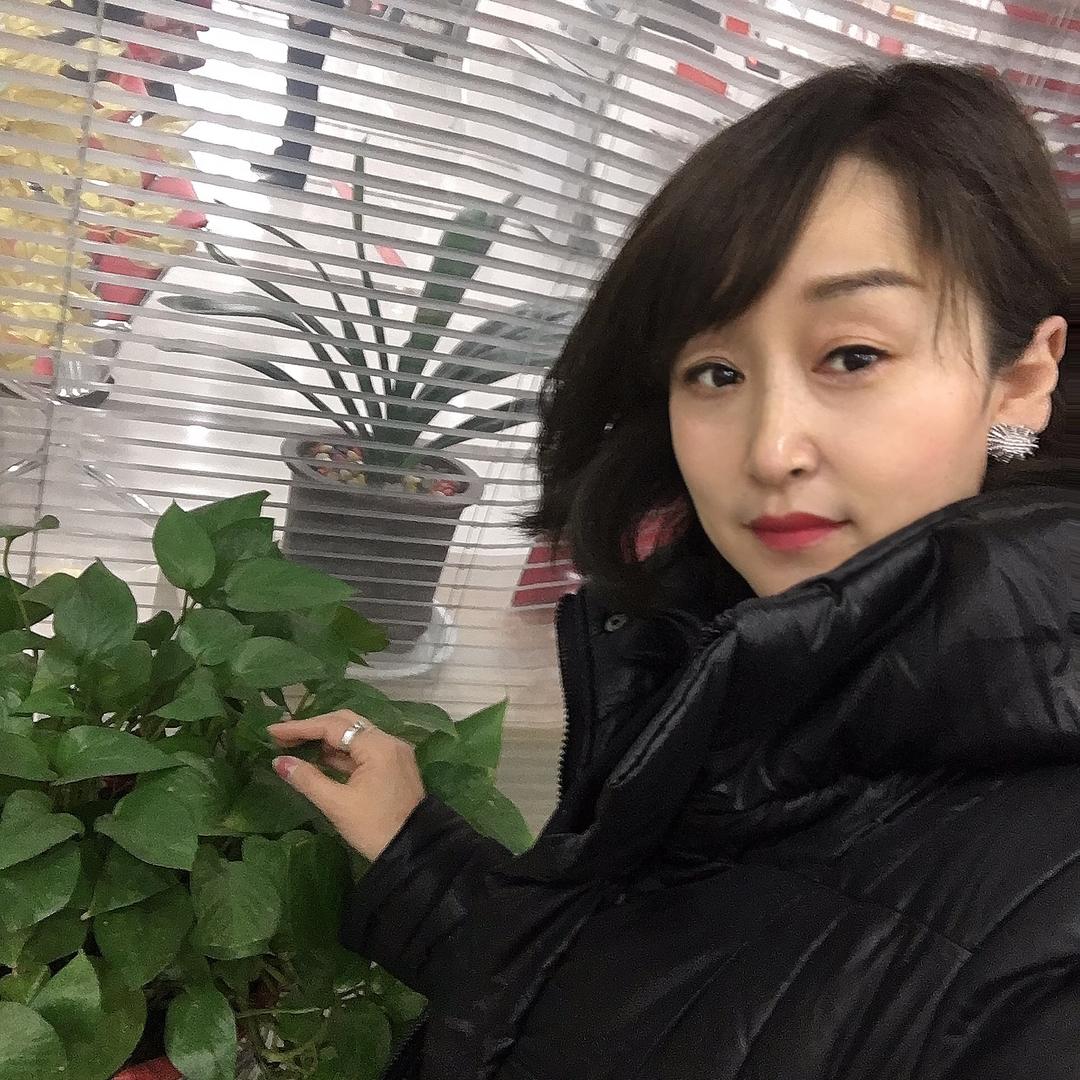 往事如梦娅