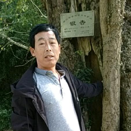 越来越年轻