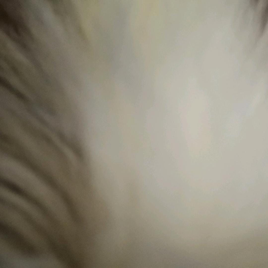 平