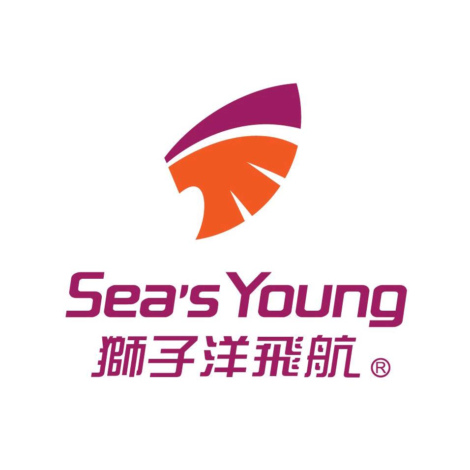 Seasyoung狮子洋飞航东莞虎门龙威客运有限公司