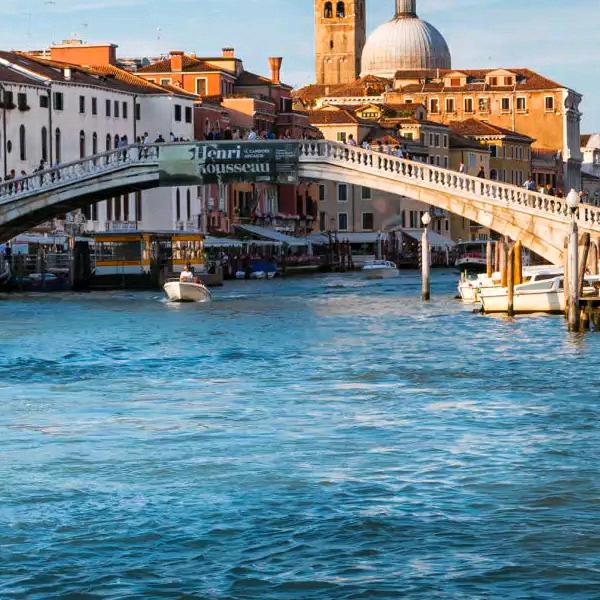 任逍遥O(∩_∩)O