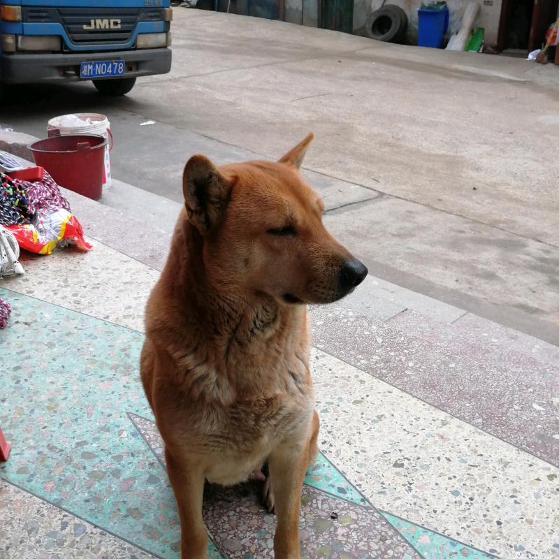 我为谁狂