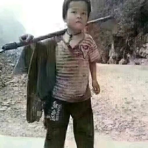 老实人