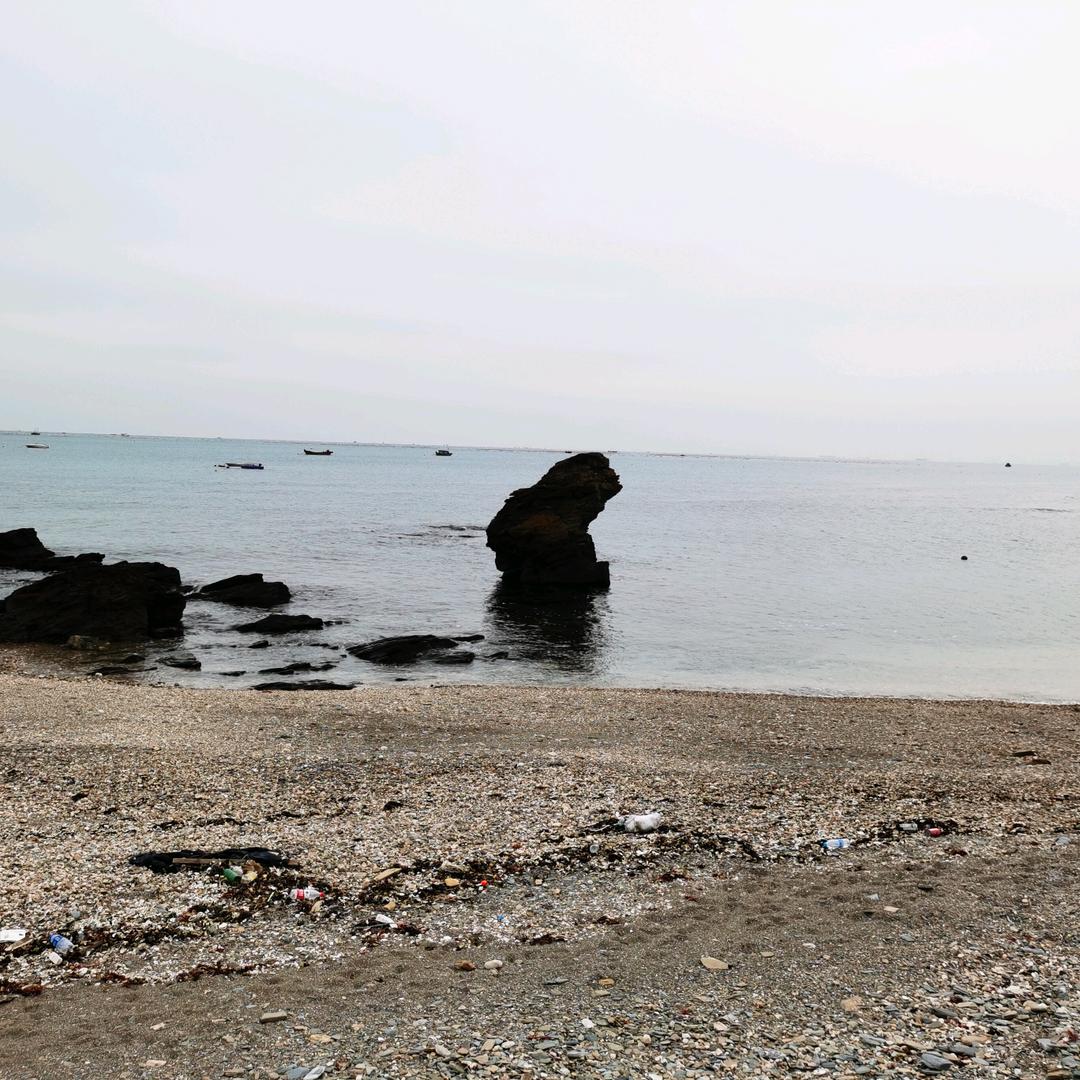 张福海