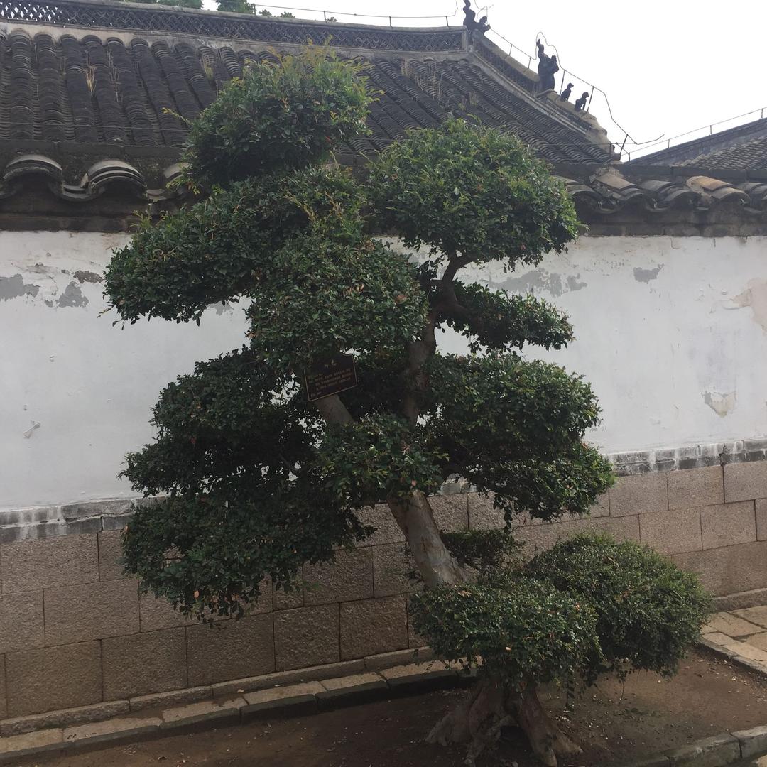 潭人小哥