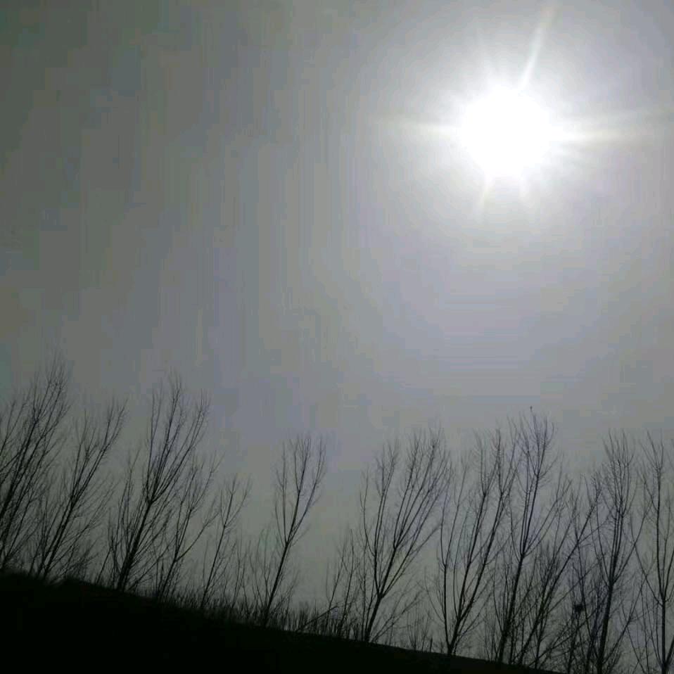 诸城百鸣