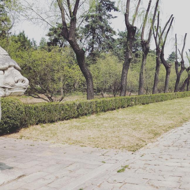 瑞波👿👿👿👿👿👿