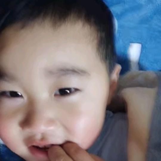 爱上不后悔