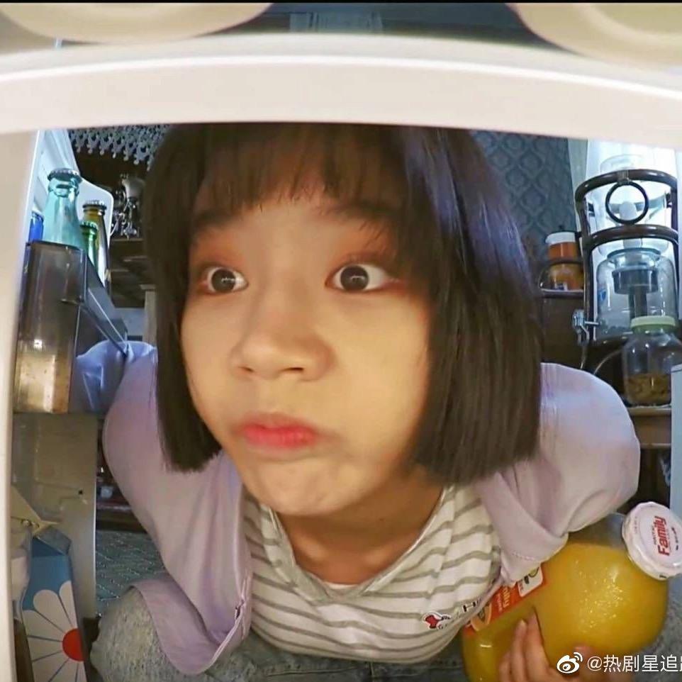 崽崽和汪搭子的生活录