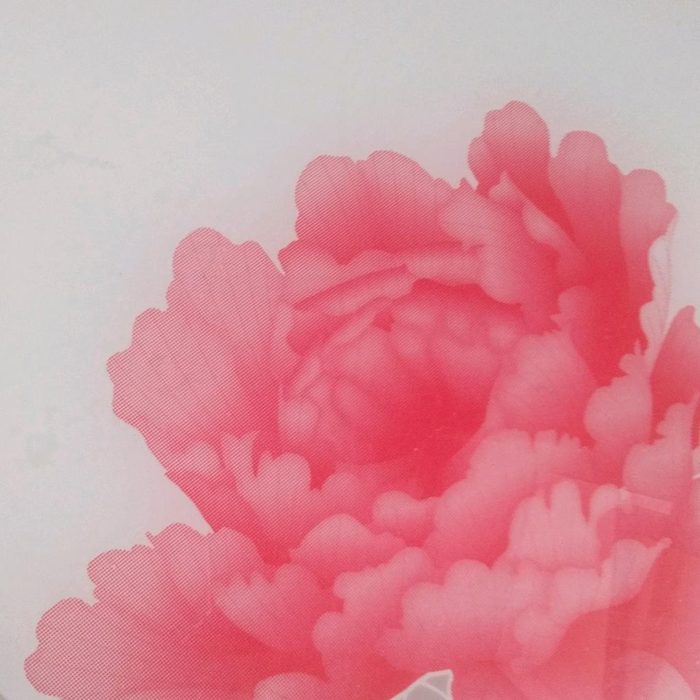风花雪月
