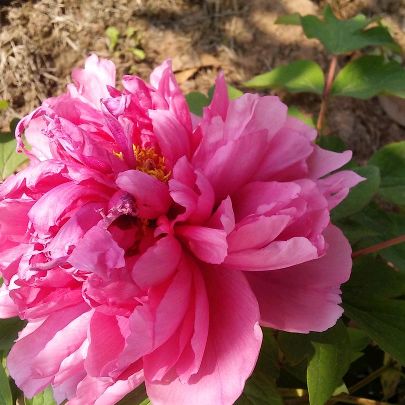 难得！因为有你～～～