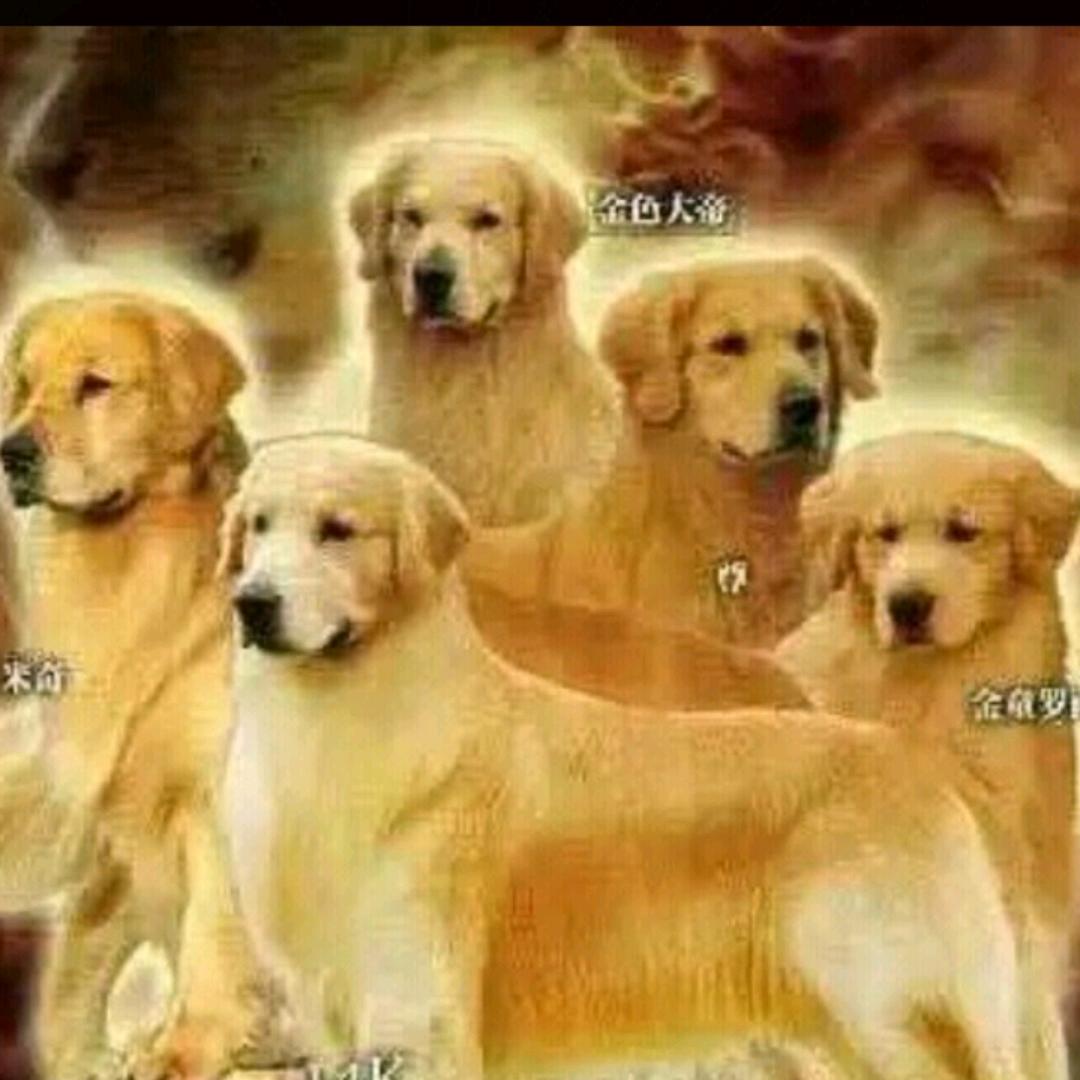 老姐
