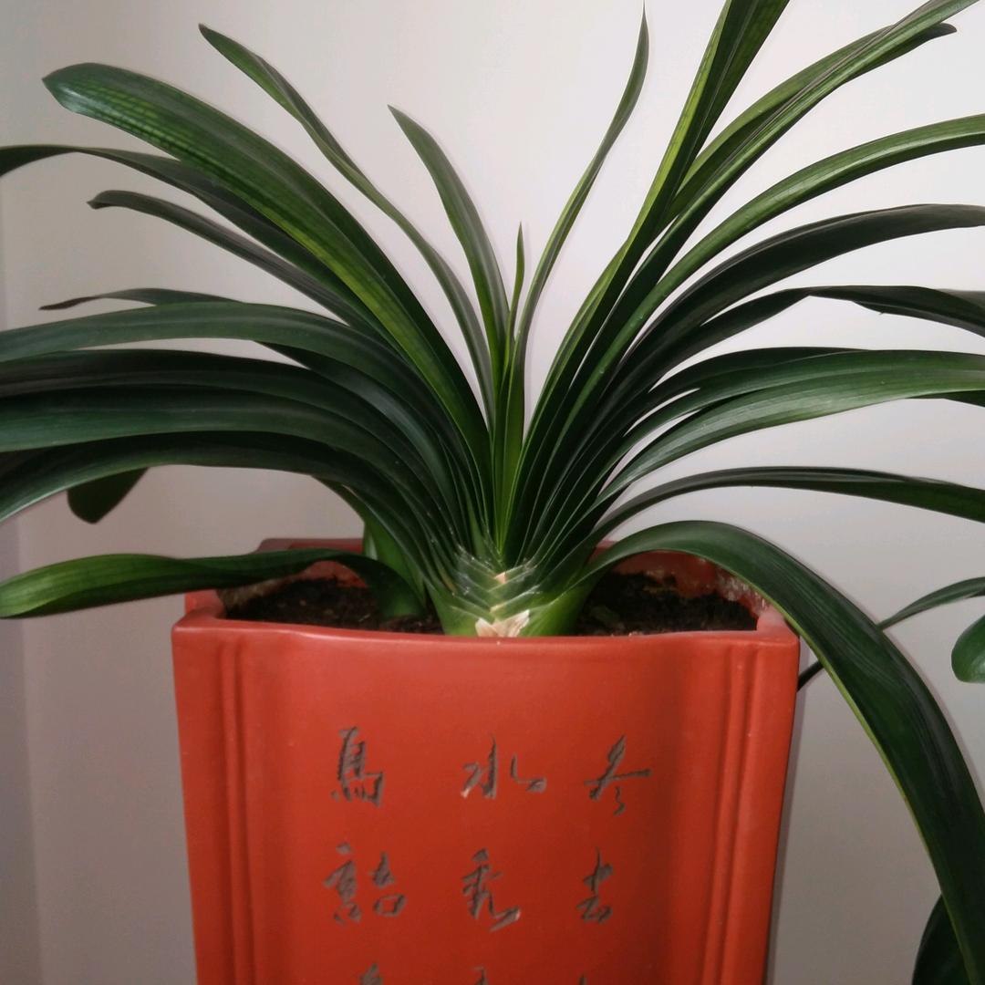好心情