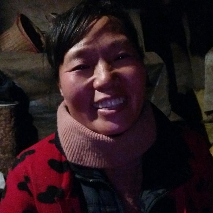 踏雪寻梅1