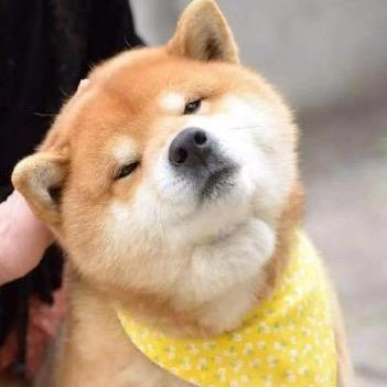 因为不见，所以肆无忌惮