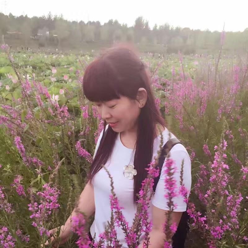 紫色薰衣草