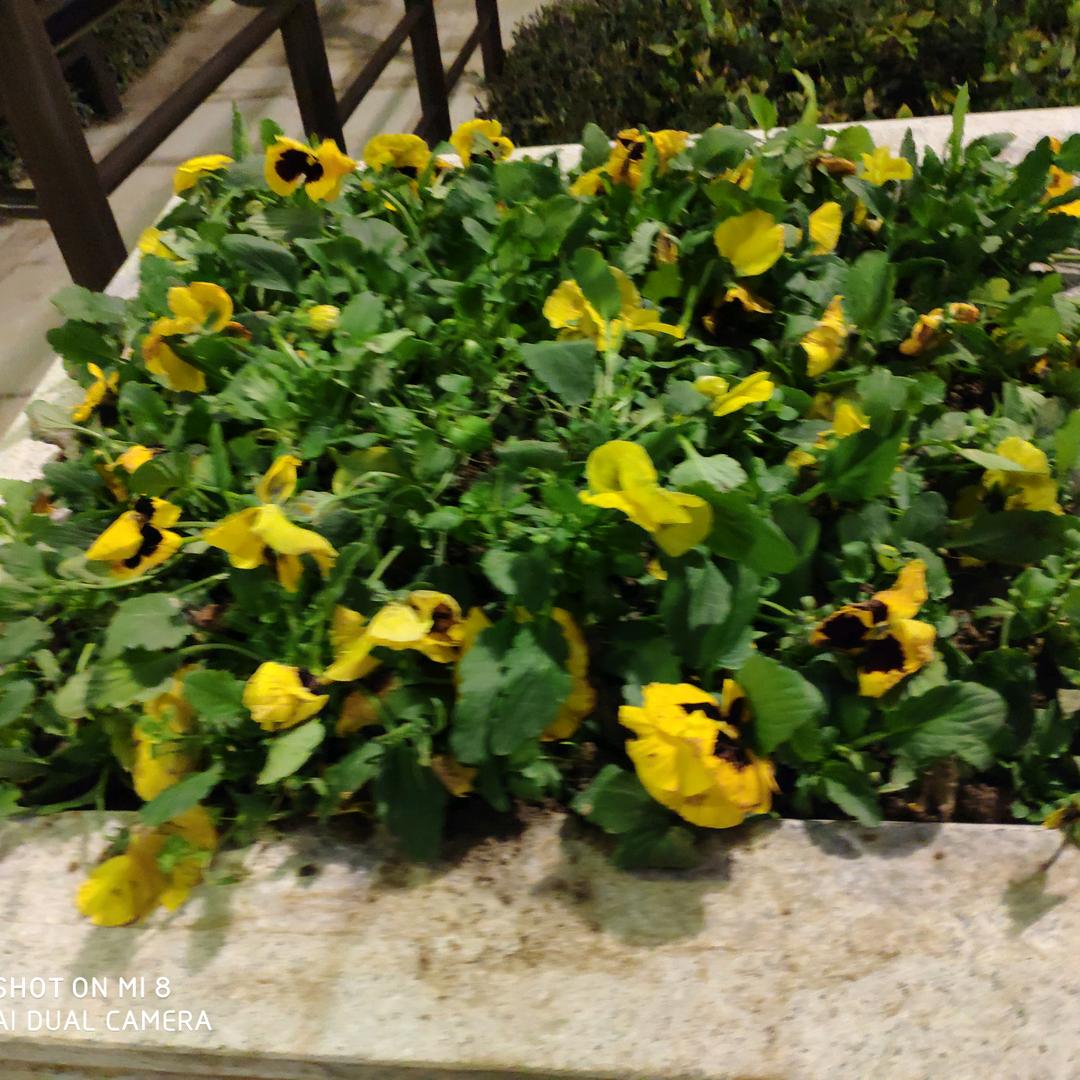 快乐每一天拒绝合拍❤️❤️🌹🌹🌹