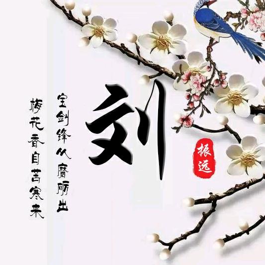 刘金岁月
