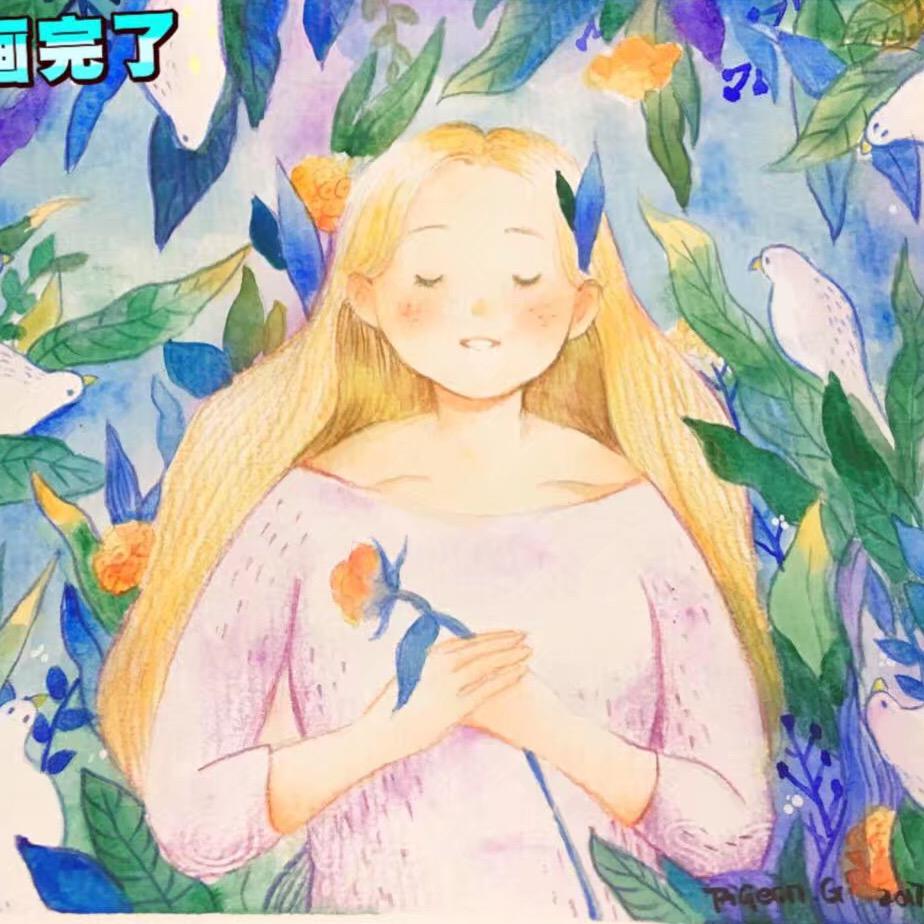 鸽子绘说