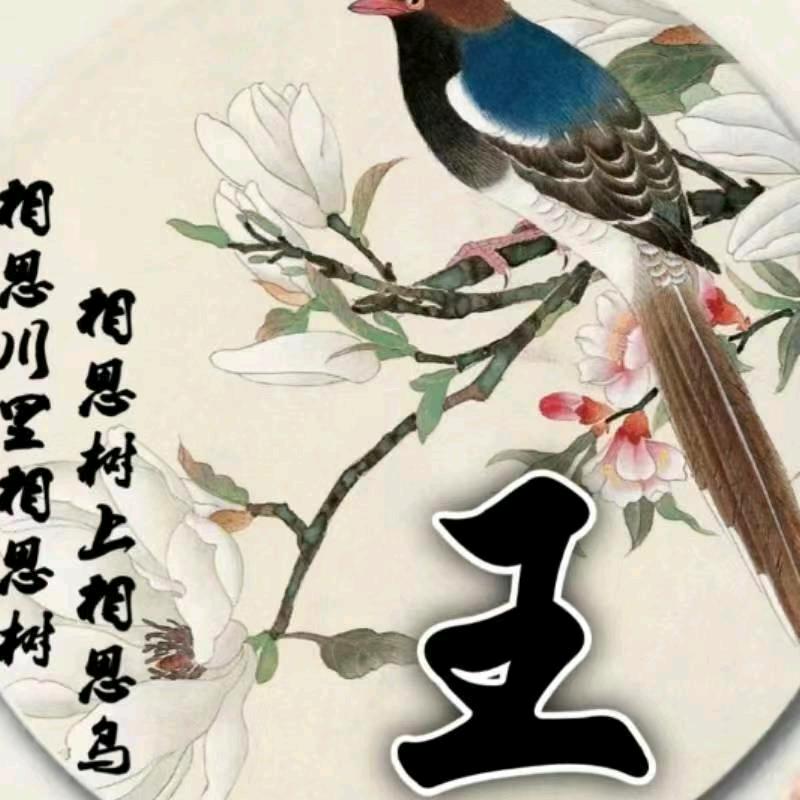 梦寐启航