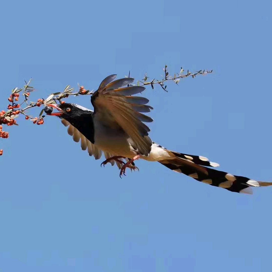 赵开中《拒绝私聊》