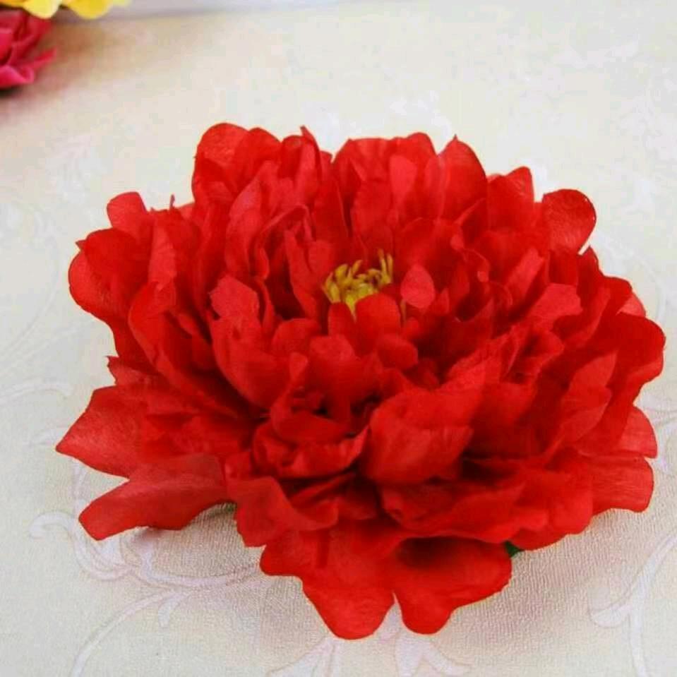 牡丹花