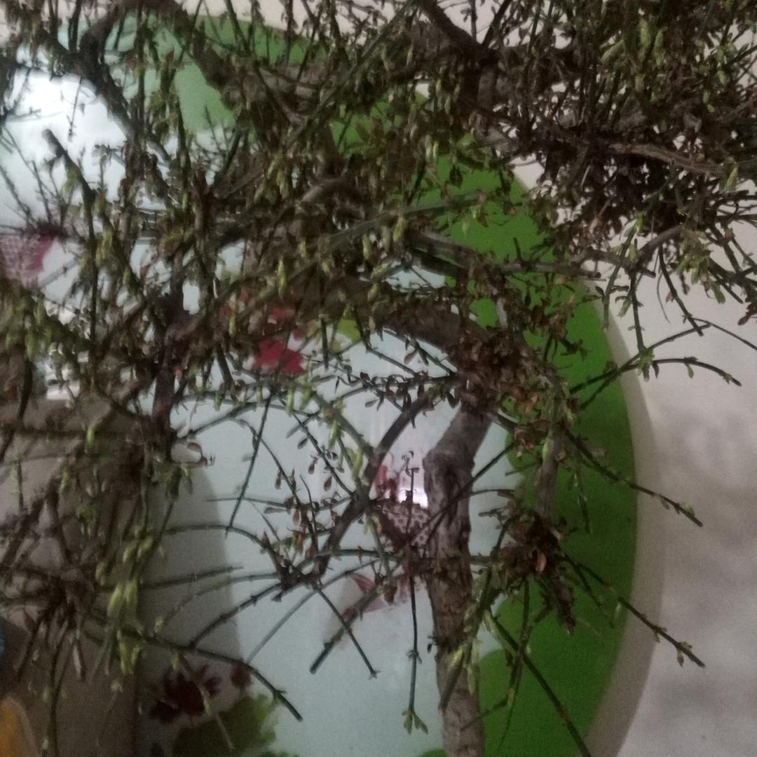 闫广厚