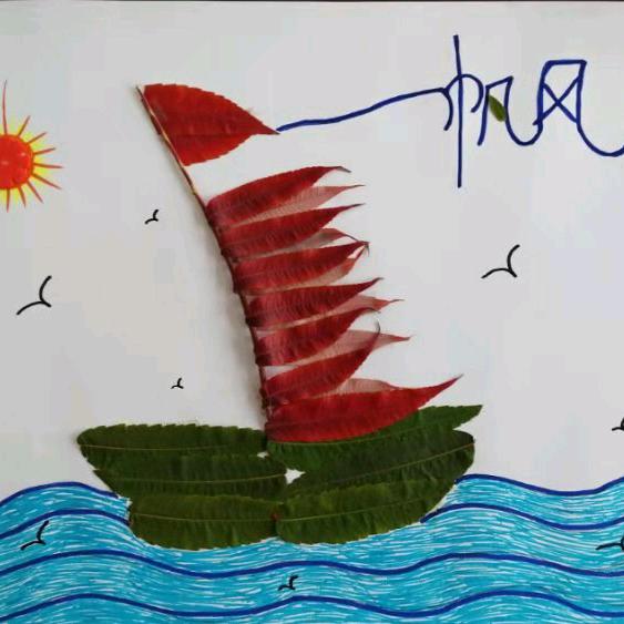 丫头511（回关注）