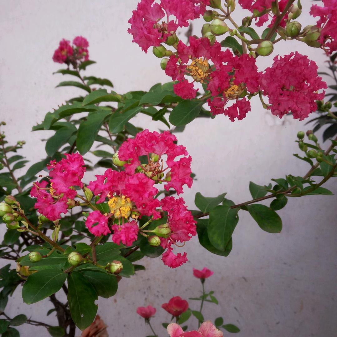 😉小汤包奶奶👵💕💞