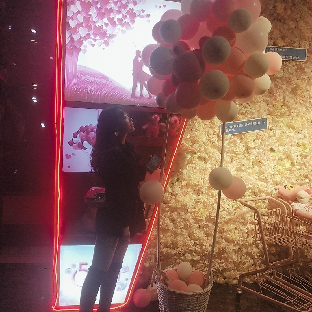 胖咩咩的懒猫萝萝