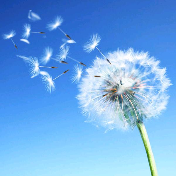 ℳঞ承诺ꦿ皆成殇໌