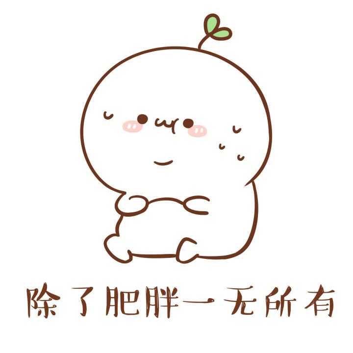 翻车王老何