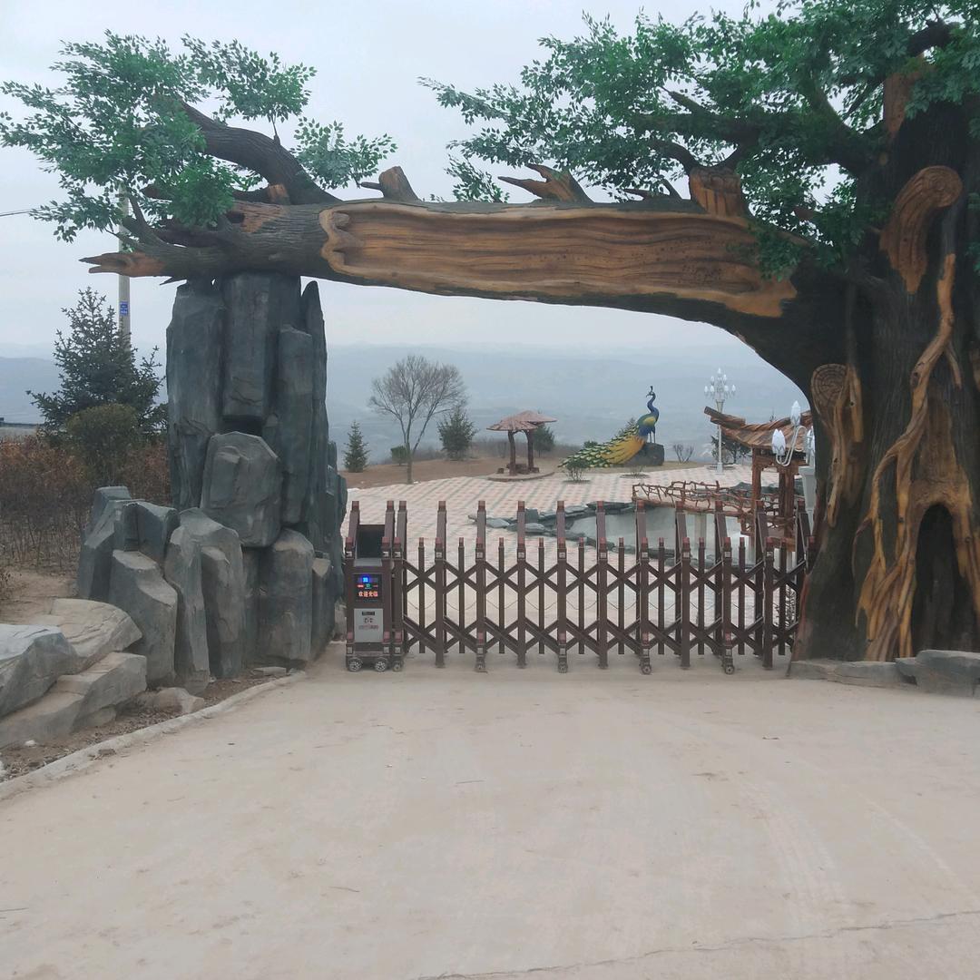 活出个样来