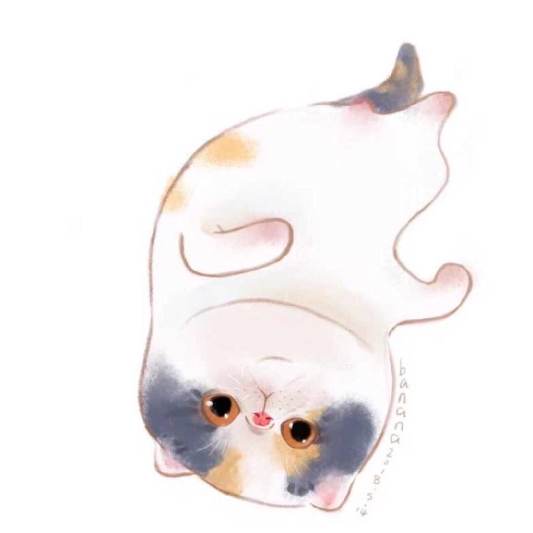 水影猫舍生活馆