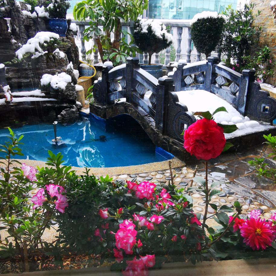 @半山墨色半山青*