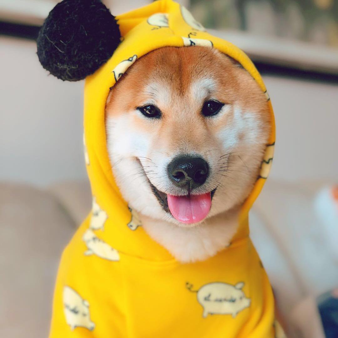 小福麻米