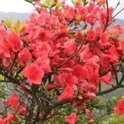 一切向幸福出发