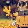 Wall-E