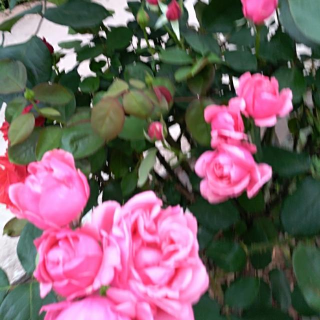 相信未来，忘记过去