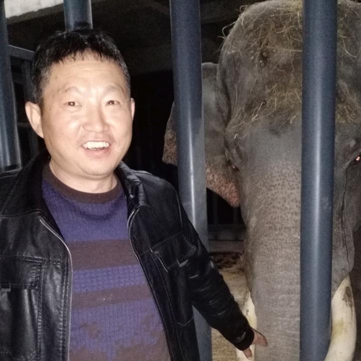 胡杨林