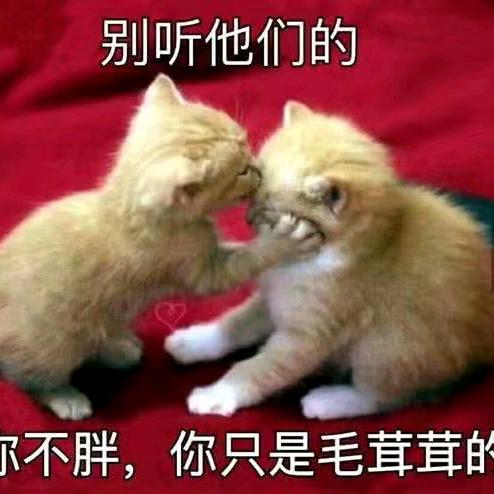 @@@｡◕‿◕｡