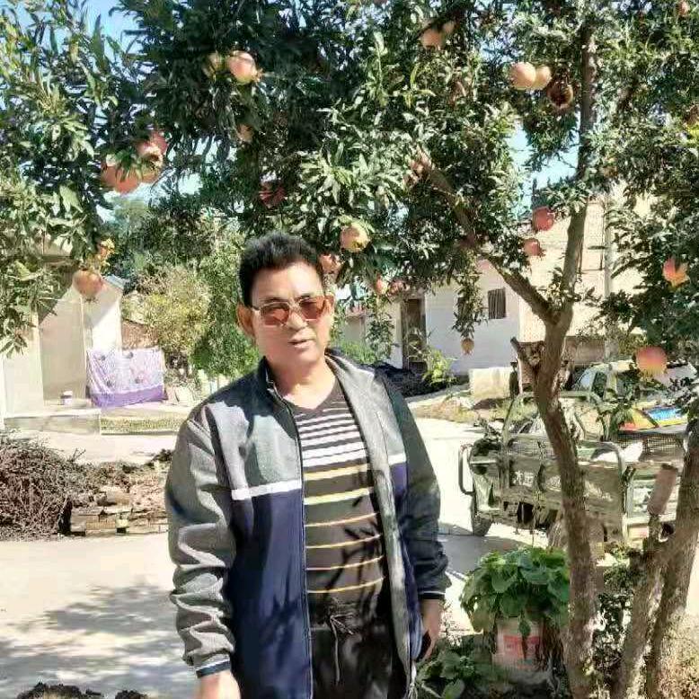 黄河好汉