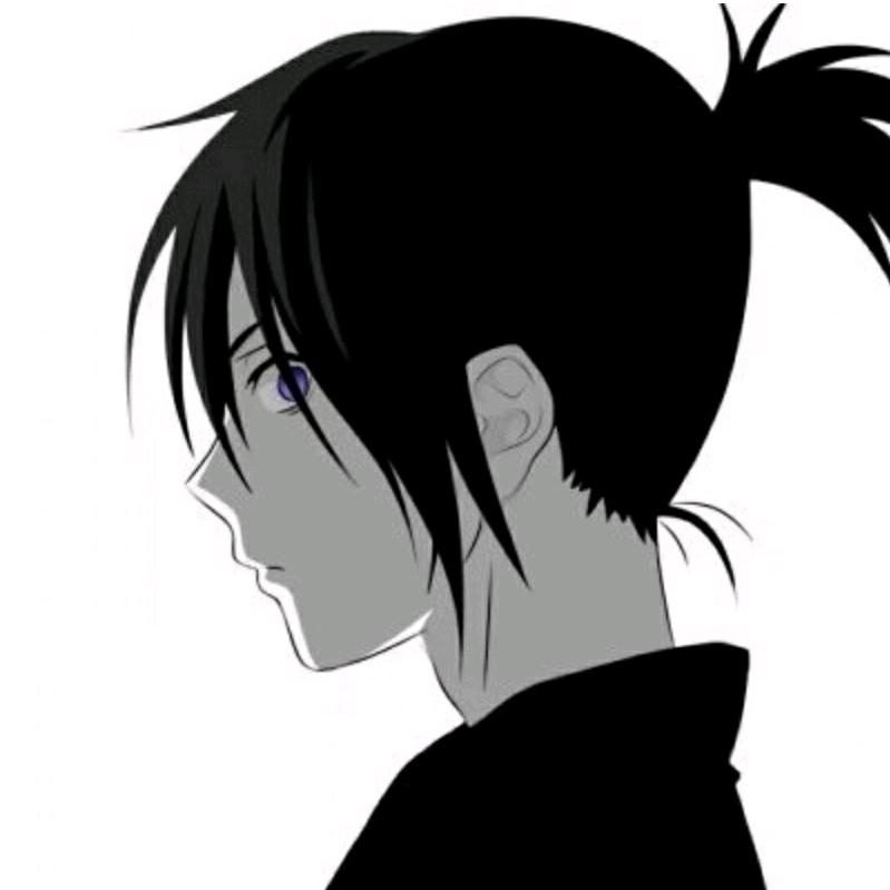 野良